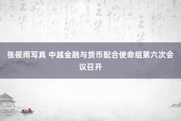 张筱雨写真 中越金融与货币配合使命组第六次会议召开