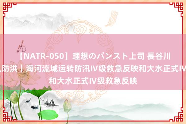 【NATR-050】理想のパンスト上司 長谷川舞 聚焦防汛防洪｜海河流域运转防汛Ⅳ级救急反映和大水正式Ⅳ级救急反映