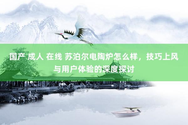国产 成人 在线 苏泊尔电陶炉怎么样，技巧上风与用户体验的深度探讨