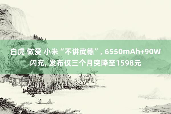 白虎 做爱 小米“不讲武德”， 6550mAh+90W闪充， 发布仅三个月突降至1598元