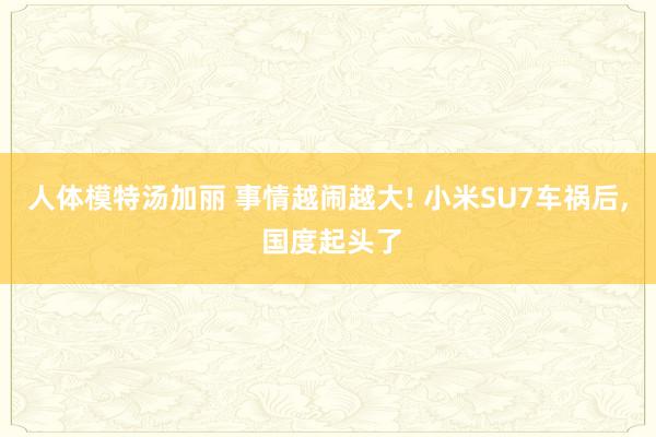 人体模特汤加丽 事情越闹越大! 小米SU7车祸后， 国度起头了
