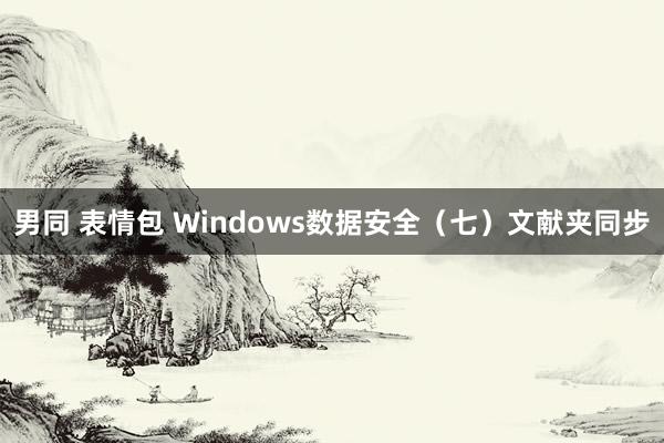 男同 表情包 Windows数据安全（七）文献夹同步
