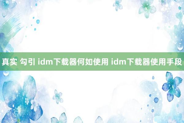 真实 勾引 idm下载器何如使用 idm下载器使用手段